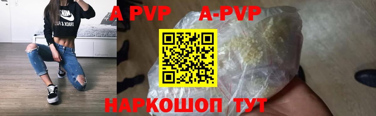 Альфа ПВП СК КРИС Малгобек