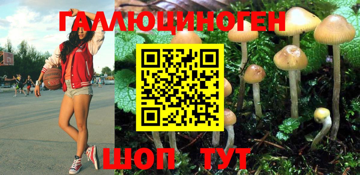 Малгобек  Псилоцибиновые грибы мухоморы  Вход с VPN  Псилоцибиновые грибы Psilocybine cubensis 